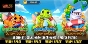 A brief introduction to the 3 levels in Fierce Fishing