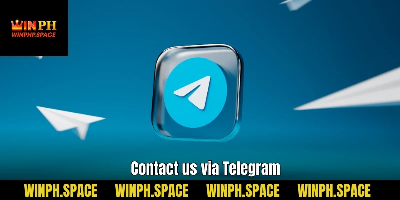 Contact us via Telegram