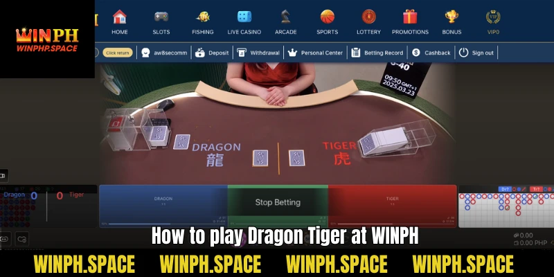 How to play Dragon Tiger at WINPH