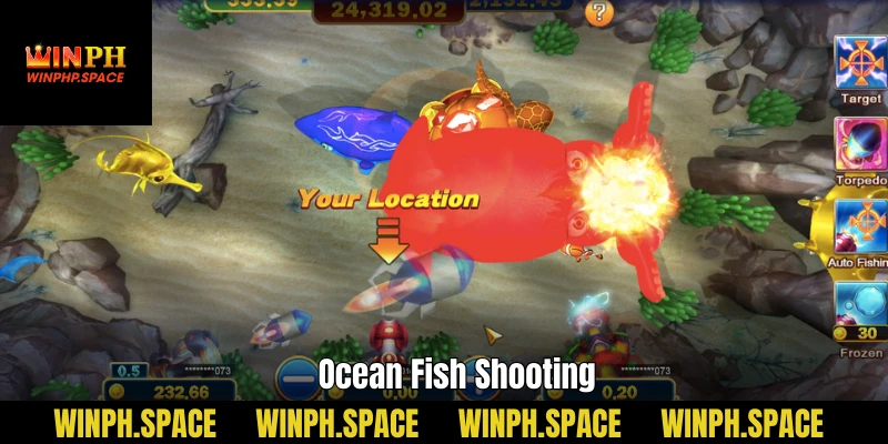 Ocean Fish Shooting