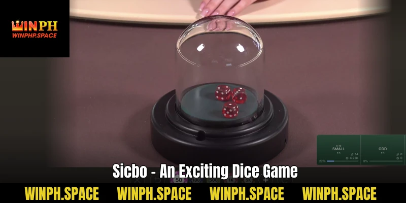 Sicbo – An Exciting Dice Game