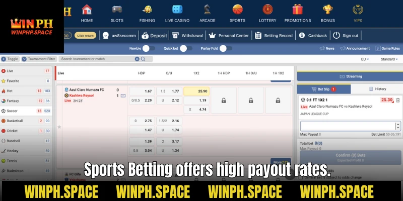 Sports Betting offers high payout rates