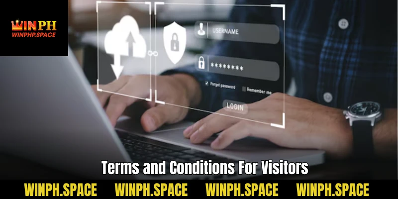 Terms and Conditions For Visitors